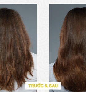 Phục hồi tóc hư tổn bao nhiêu tiền? Liệu có thể phục hồi tóc hư tổn chuẩn salon tại nhà hay không?