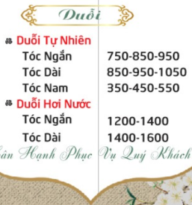 CẬP NHẬT BẢNG GIÁ DUỖI TÓC MỚI NHẤT 2025 - SIÊU THỊ TÓC Á ĐÔNG